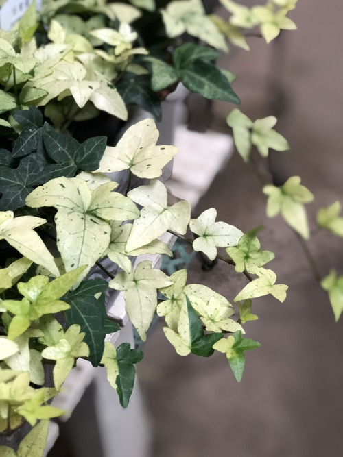 419835E7-4B38-4E9D-957F-D99BE62A7BCB