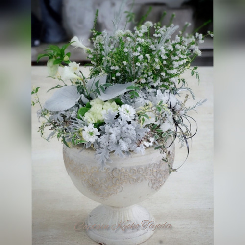 InShot_20220210_200922708