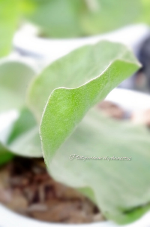 InShot_20220217_152450508