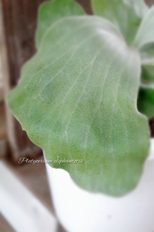 InShot_20220217_152418358