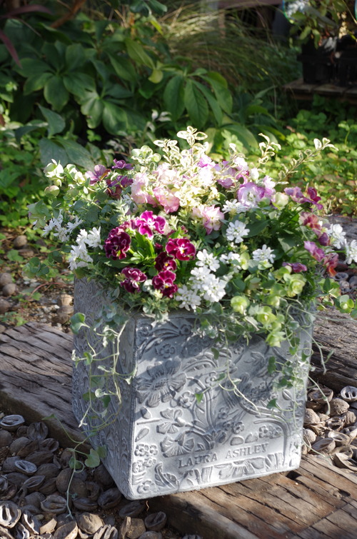 IMGP0707