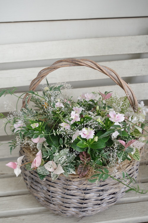 トヨダblog フラワーガーデン花音