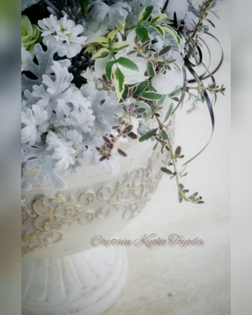 InShot_20220210_201058499