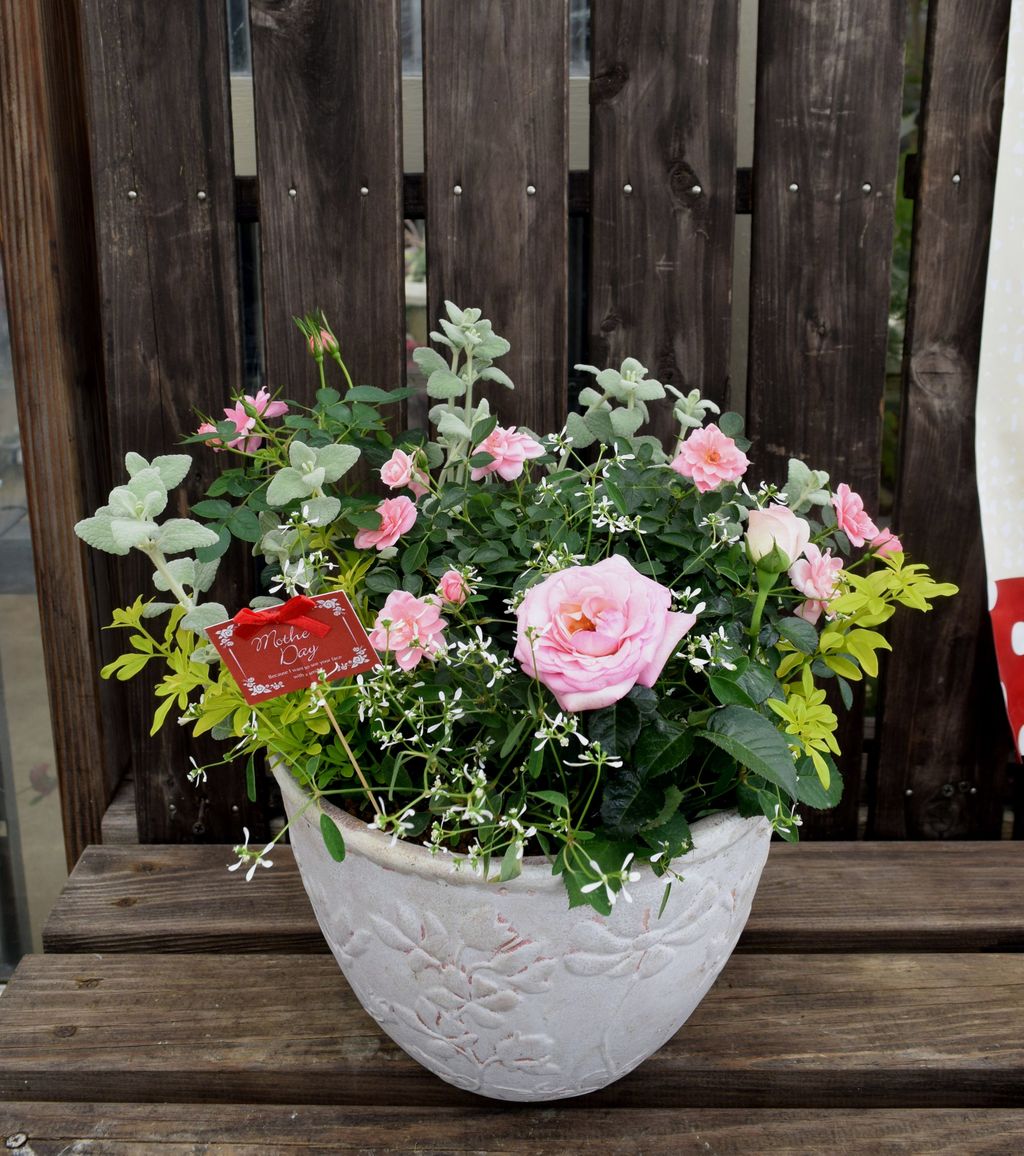 母の日は寄せ植えを贈りませんか フラワーガーデン花音