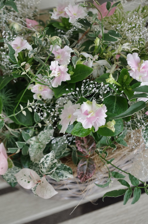 トヨダblog フラワーガーデン花音