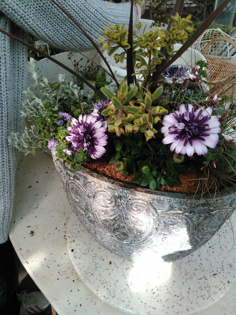 17春 花音のギャザリング時間startしてます 本日はどんなギャザリングかな フラワーガーデン花音