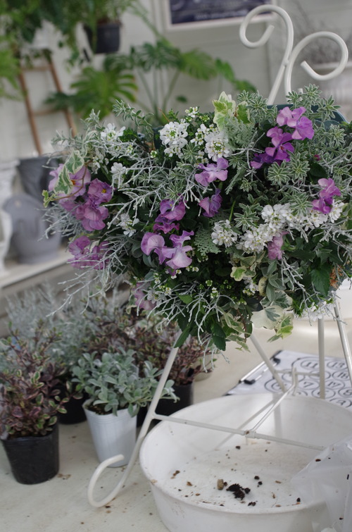 トヨダblog フラワーガーデン花音