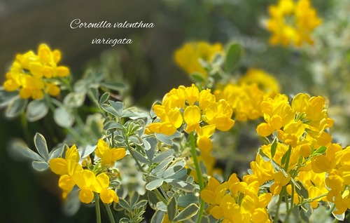 C9C1D4D7-79F6-4773-A6F8-33EB3D4FDC59