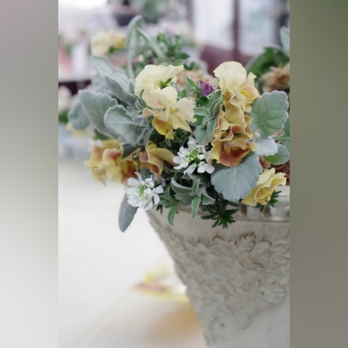 InShot_20220118_190250030