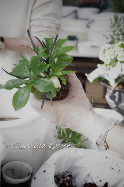 InShot_20220206_192657648