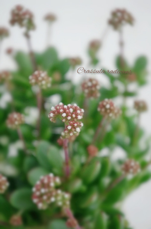 InShot_20220222_161605637