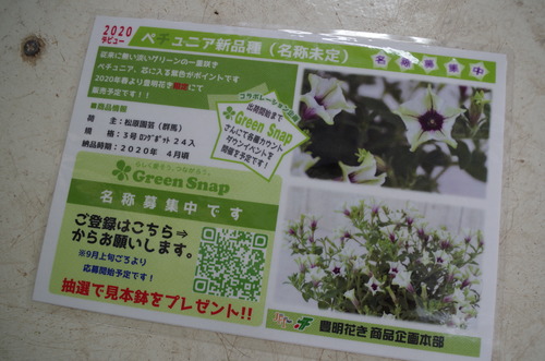 IMGP9593
