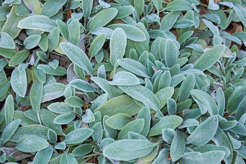 ce12bf9878645f5636fb2c7c926851ec