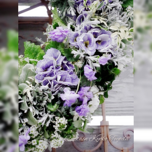 InShot_20220209_133205047