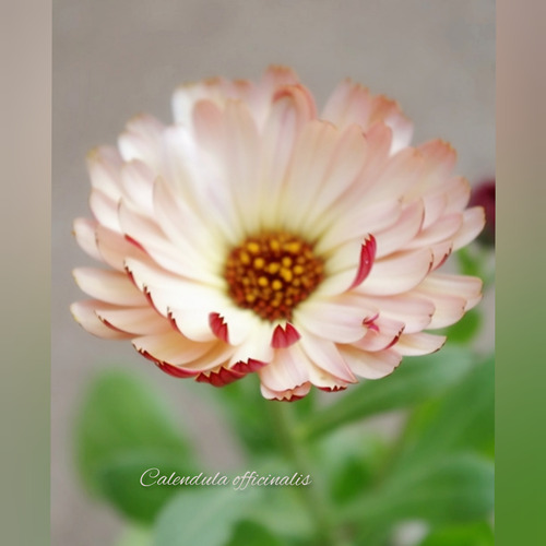 InShot_20220218_181229806