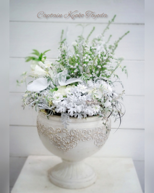 InShot_20220210_201122028