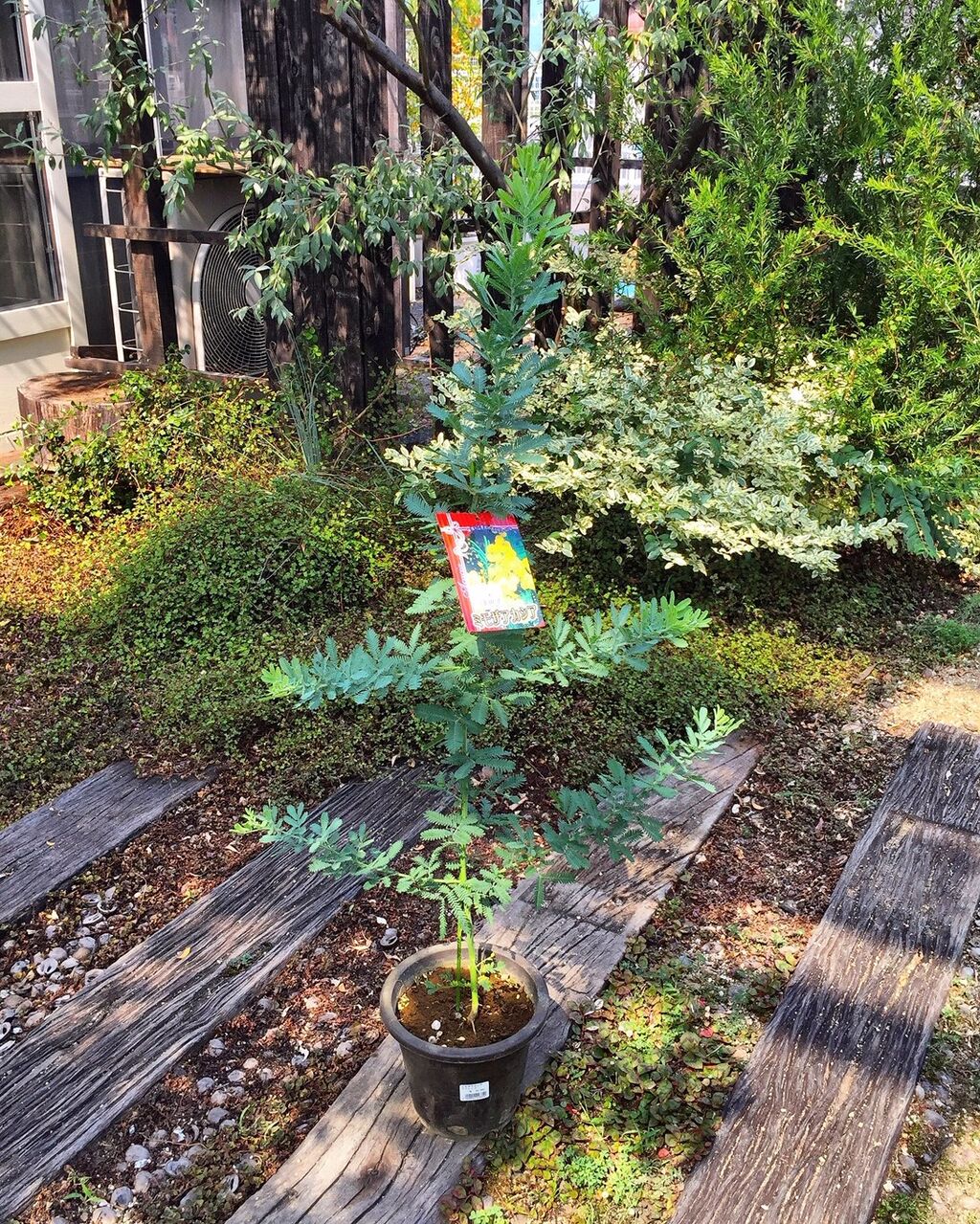 コレって ワイヤーなんとかだよね っ フラワーガーデン花音