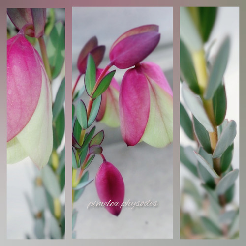 InShot_20220219_122544229