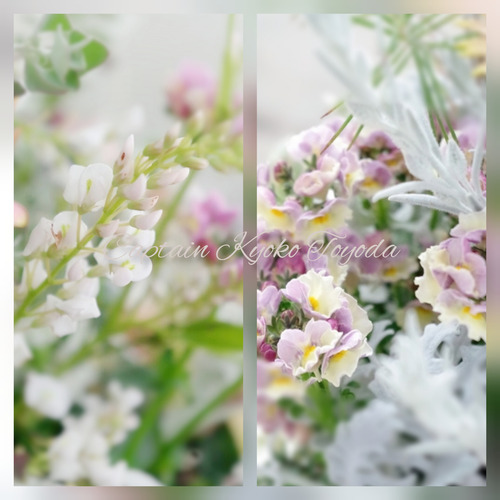 InShot_20220217_122426971