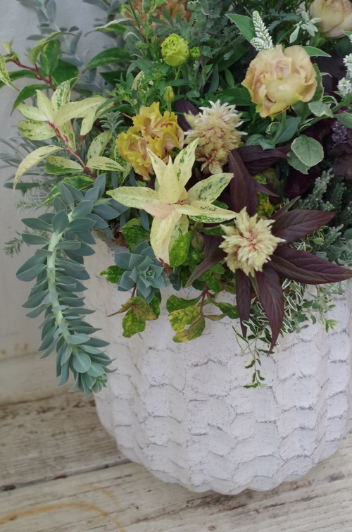 トヨダblog フラワーガーデン花音