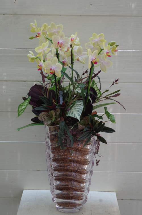 トヨダblog フラワーガーデン花音