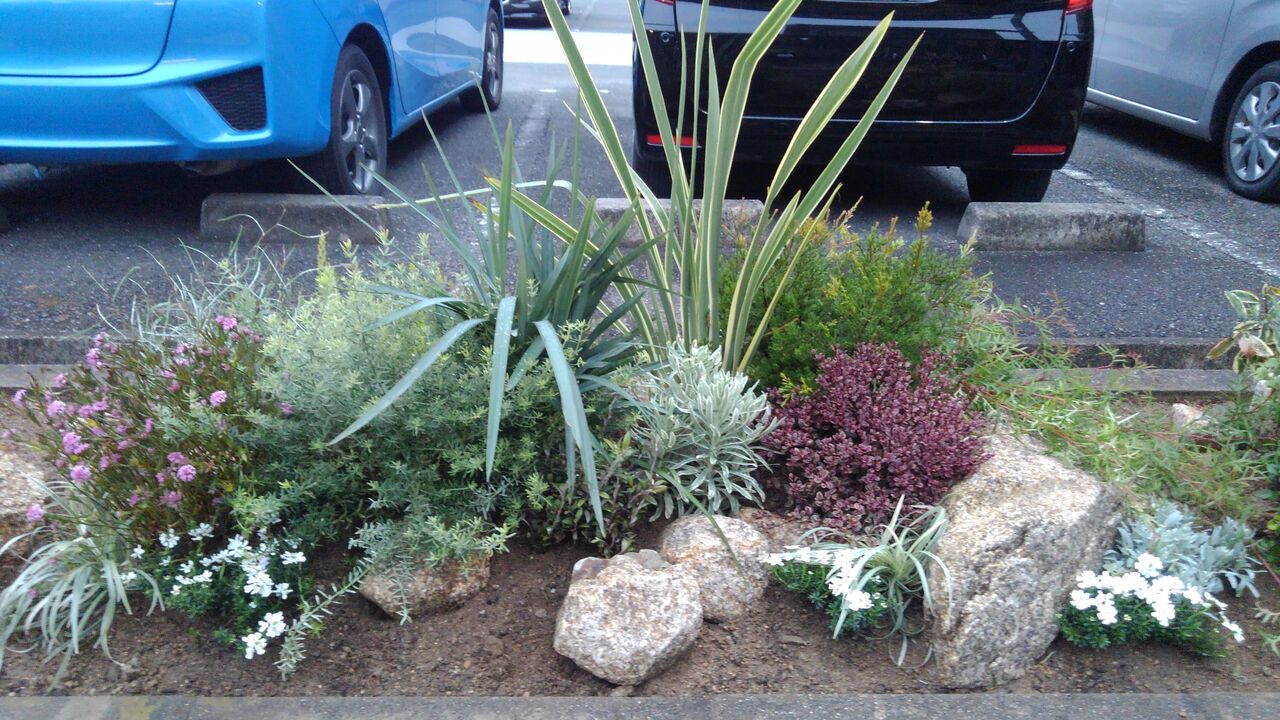 年末のお庭を彩るギャザリングリースやウォールバスケットを製作しませんか マンションの植栽upの巻 フラワーガーデン花音