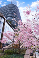 ちょっと長めに♪　From いつき【An independenceのブログ】