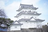 ワクワク！！ FROMせいじ【An independenceのブログ】