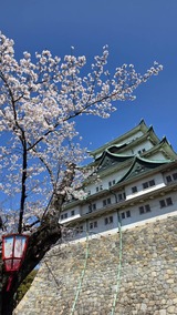 リフレッシュ　FROMりゅうのすけ【An independenceのブログ】