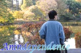 今年もよろしくお願いします。　From とわ【An independenceのブログ】