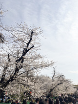 いい天気！　From だいき【An independenceのブログ】