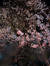 お久しぶりです！！ FROMあお【An independenceのブログ】