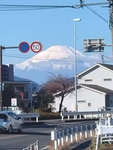🎍謹賀新年🎍　From せいじ【An independenceのブログ】