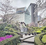 卯月　FROMとうま【An independenceのブログ】