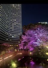 卯月　FROMとうま【An independenceのブログ】