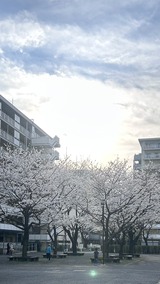 感謝！！ FROMみなと【An independenceのブログ】