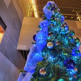 12月 FROMいつき【An independenceのブログ】