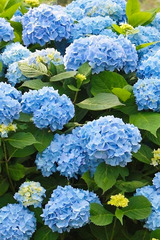 雨の日が　FROMいつき【An independenceのブログ】