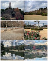 Memories of TRIP　From みなみ【An independenceのブログ】