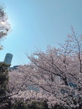 4月ですね🌸　From れん【An independenceのブログ】