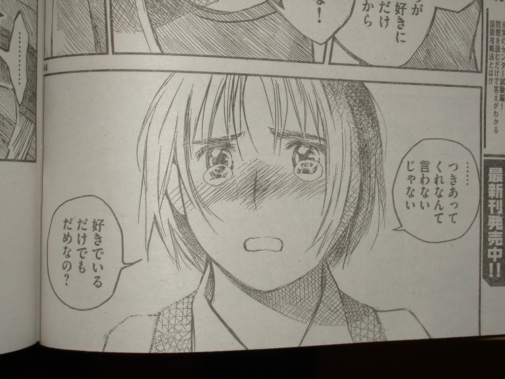 The Otoko Megane Sagasi