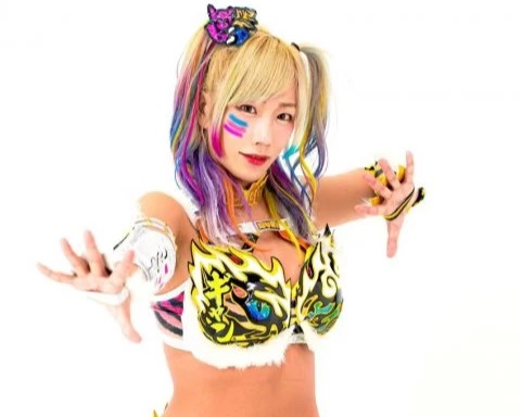 【画像】プロレスラーのウナギ・サヤカさん、お○ぱいがエ□すぎるｗｗｗｗｗｗｗ