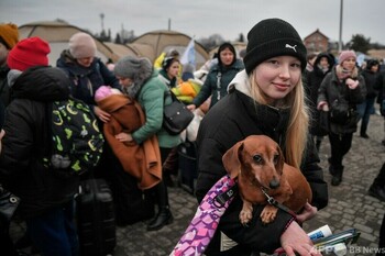 ウクライナ難民の犬
