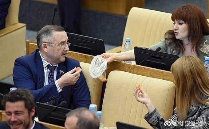 ロシアの議会1