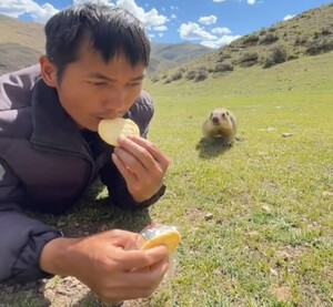 マーモットと男性