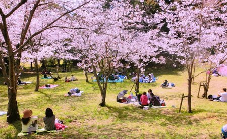 女子大生がパンチラ 