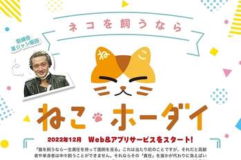 猫を借りれるサービス