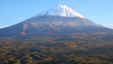 富士山の樹海にある看板 