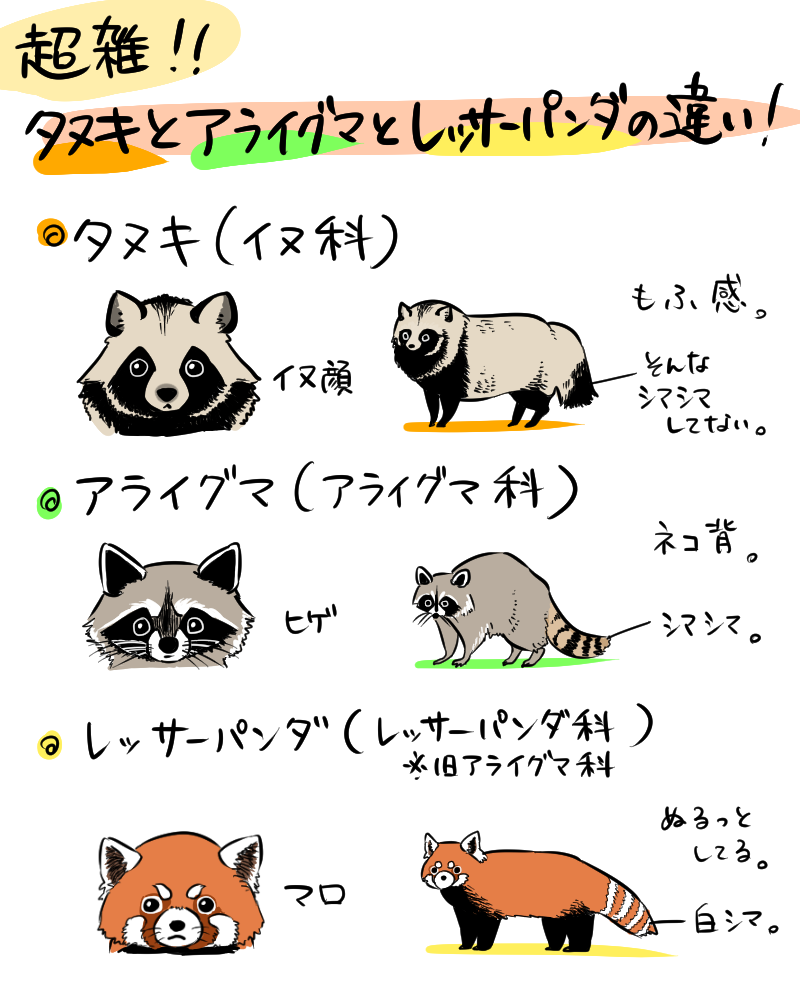 画像 タヌキ見つかるwwwwwwwwwwwwwwwww 女子アナお宝画像速報 5chまとめ 画像 タヌキ見つかるwwwwwwwwwwwwwwwww 女子アナお宝画像速報 5chまとめ