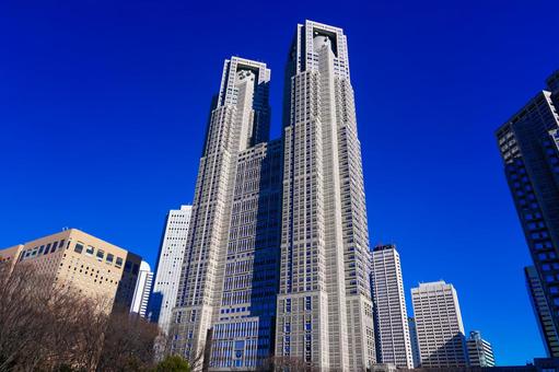 【画像】都庁前で思いっきり露出する女子さんが現れてしまう